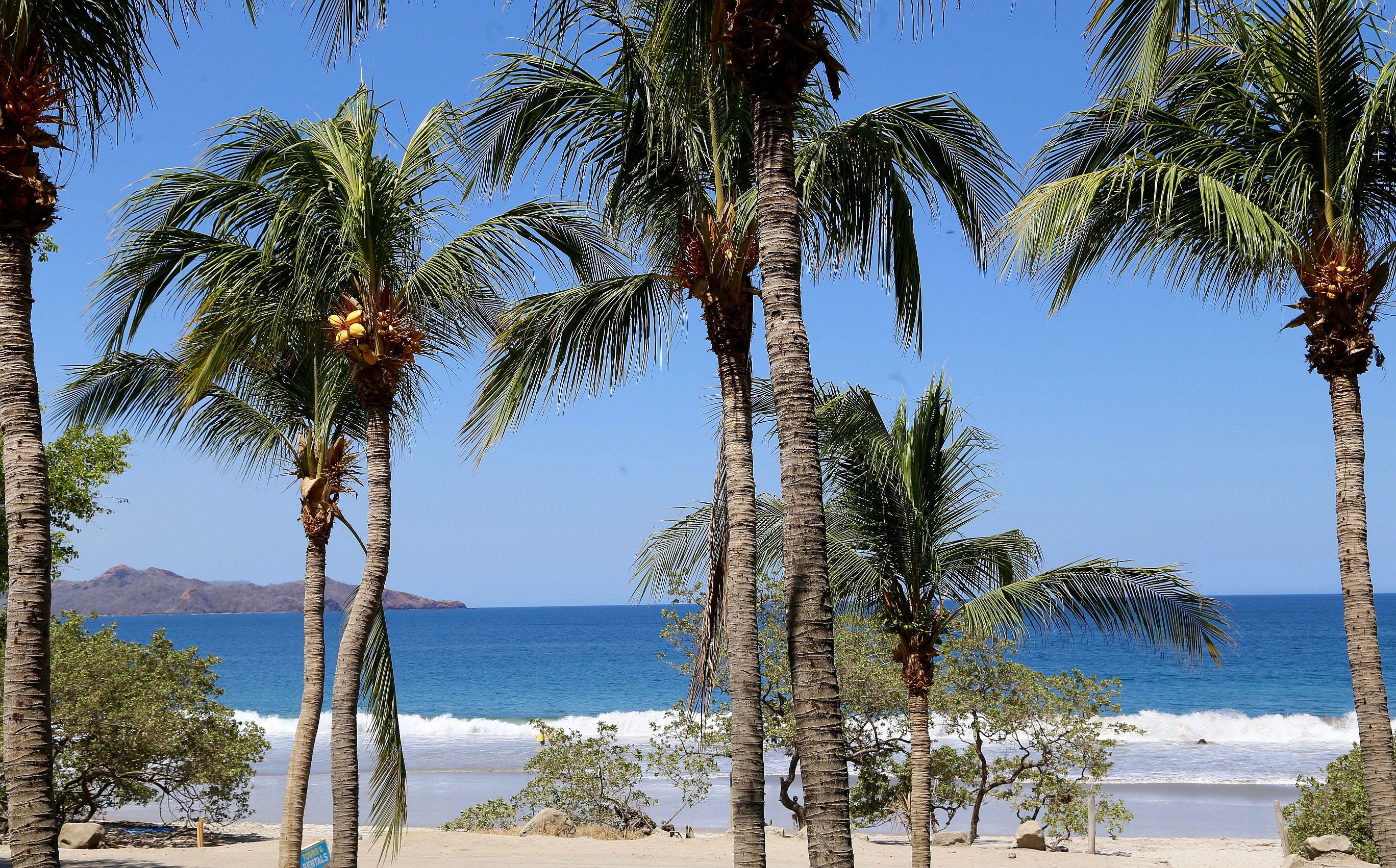 Margaritaville Beach Resort Playa Flamingo Luaran gambar